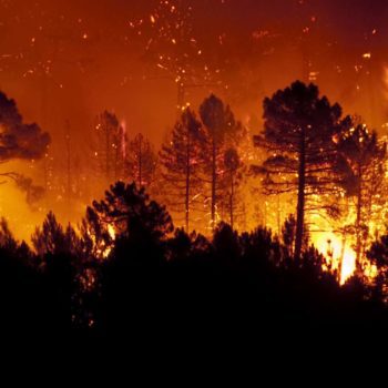Learn how insurers can improve measuring wildfire risk with geolocation data. | WaterStreet Company