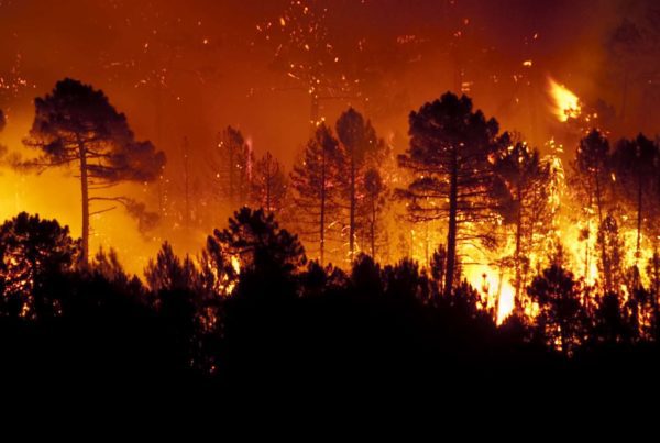 Learn how insurers can improve measuring wildfire risk with geolocation data. | WaterStreet Company