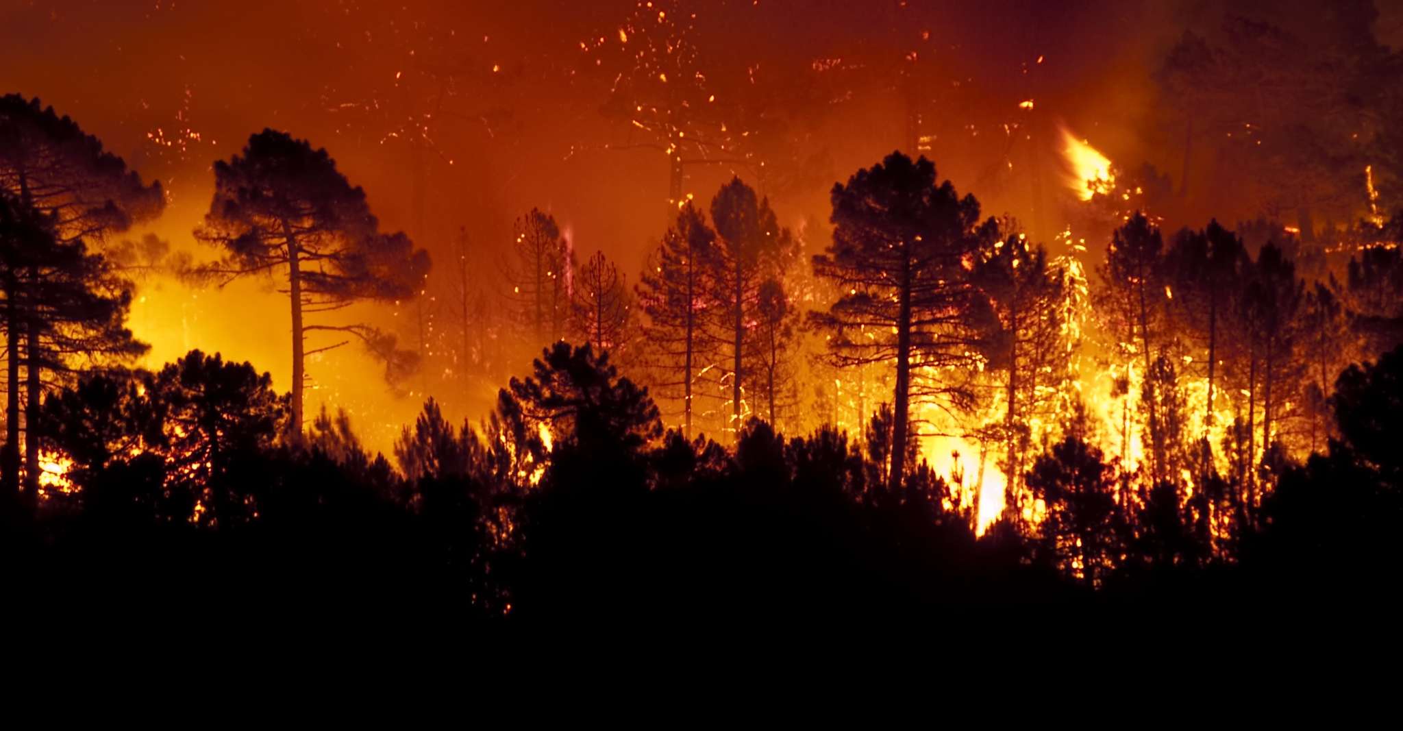 Challenges with Wildfire Risk & Homeowners Insurance Renewal, Featuring HazardHub