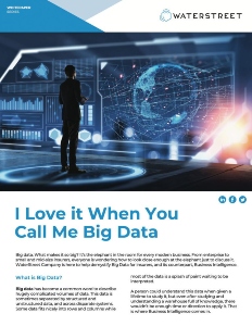 Whitepaper "I Love it When You Call Me Big Data"